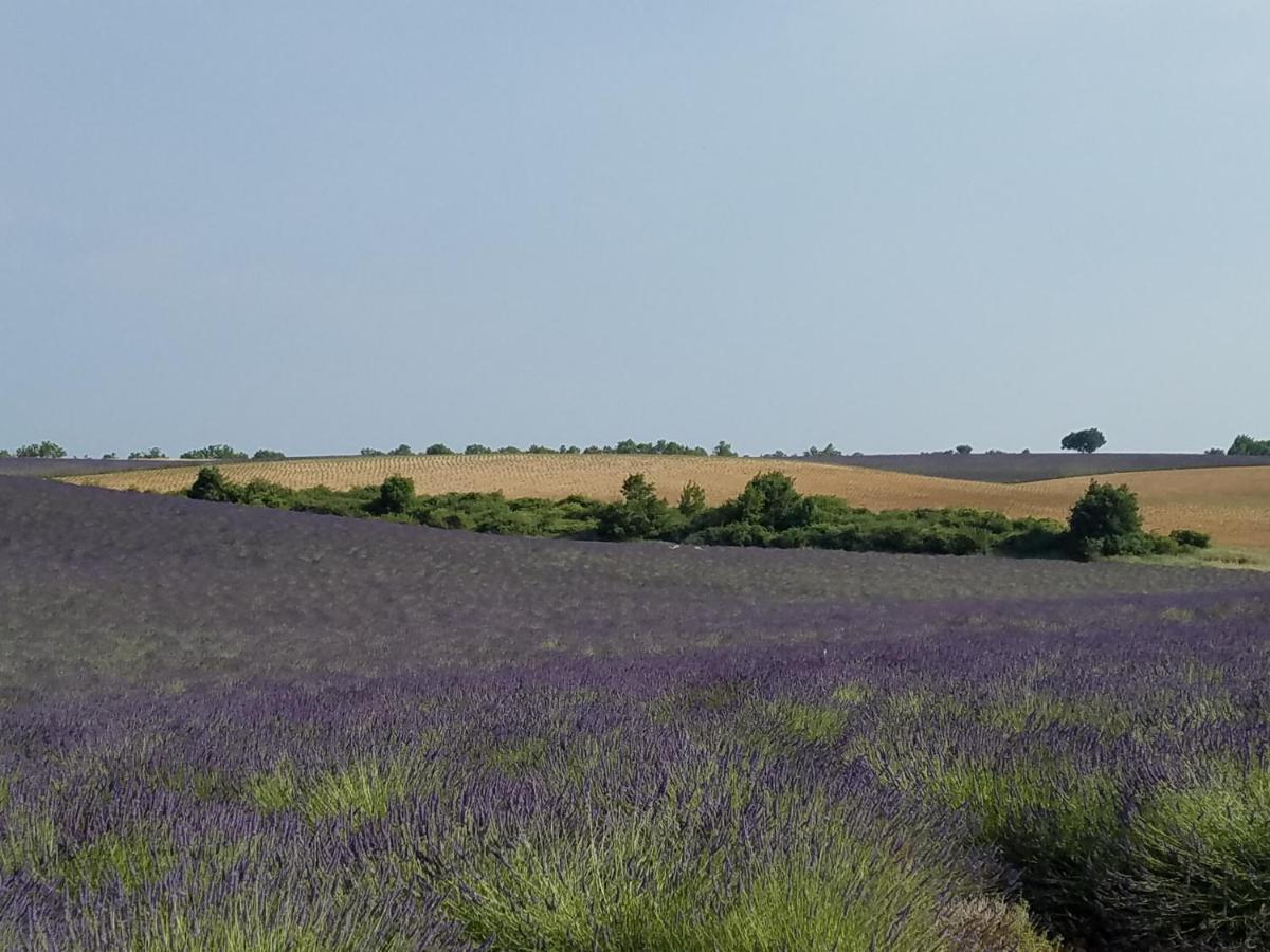 Gite Les Fourches Baudinard Esterno foto